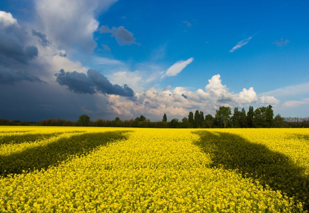 Незламні