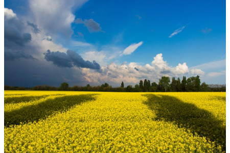 Незламні