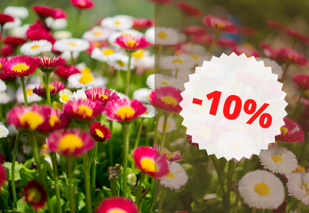 - 10% на весь асортимент