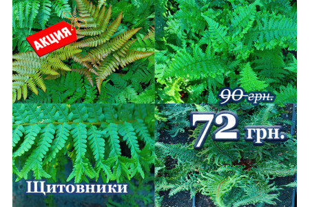 Акція на щитники! 20% до кінця жовтня!