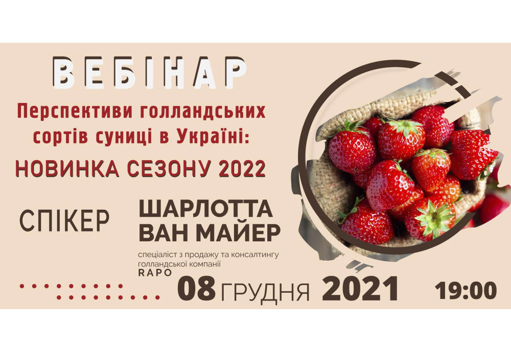 «Перспективи голландських сортів суниці в Україні: новинка сезону 2022»